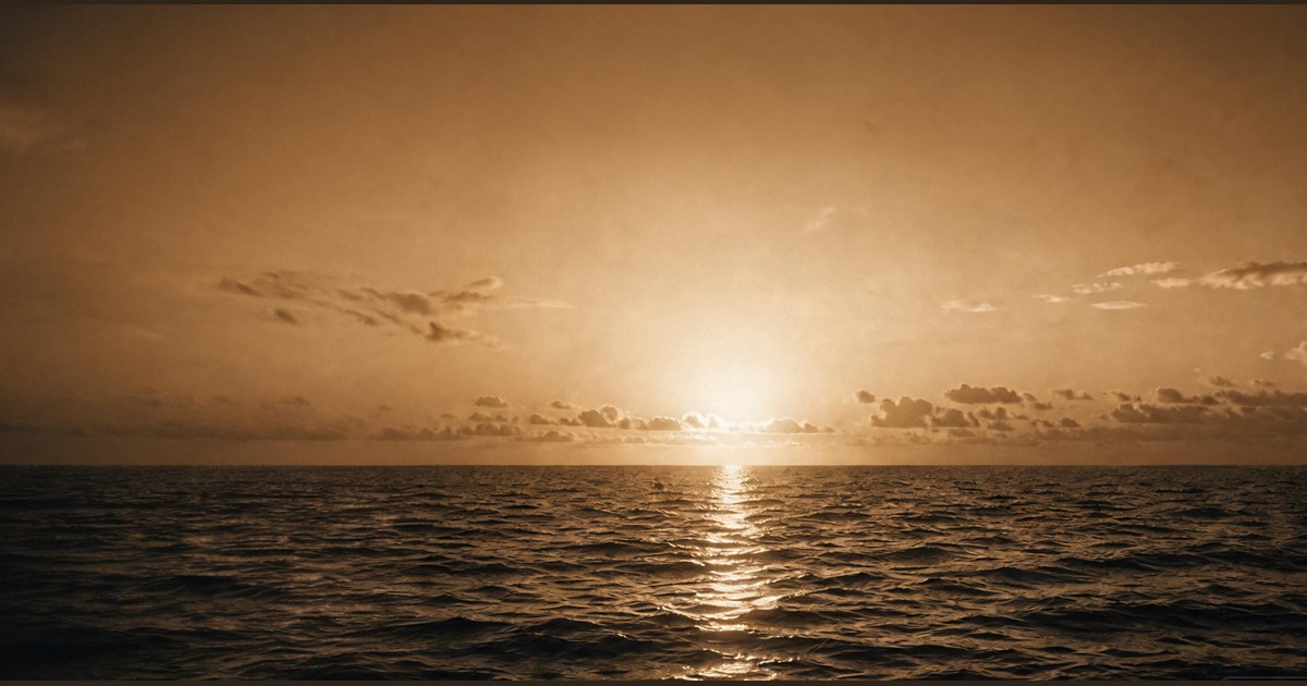 The Open Water™