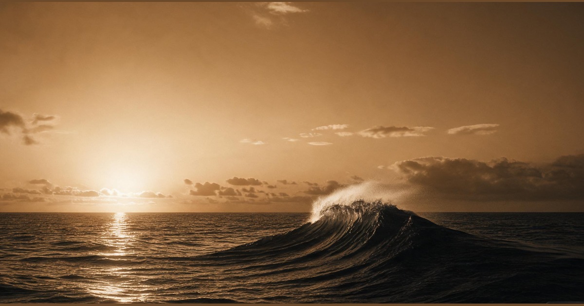The Tide Turner™