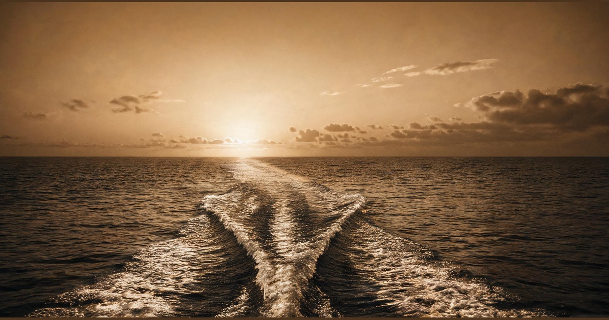 The Wake™